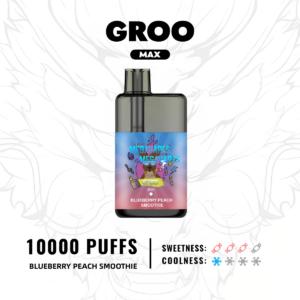 GROO MAX – BLUEBERRY PEACH SMOOTHIE